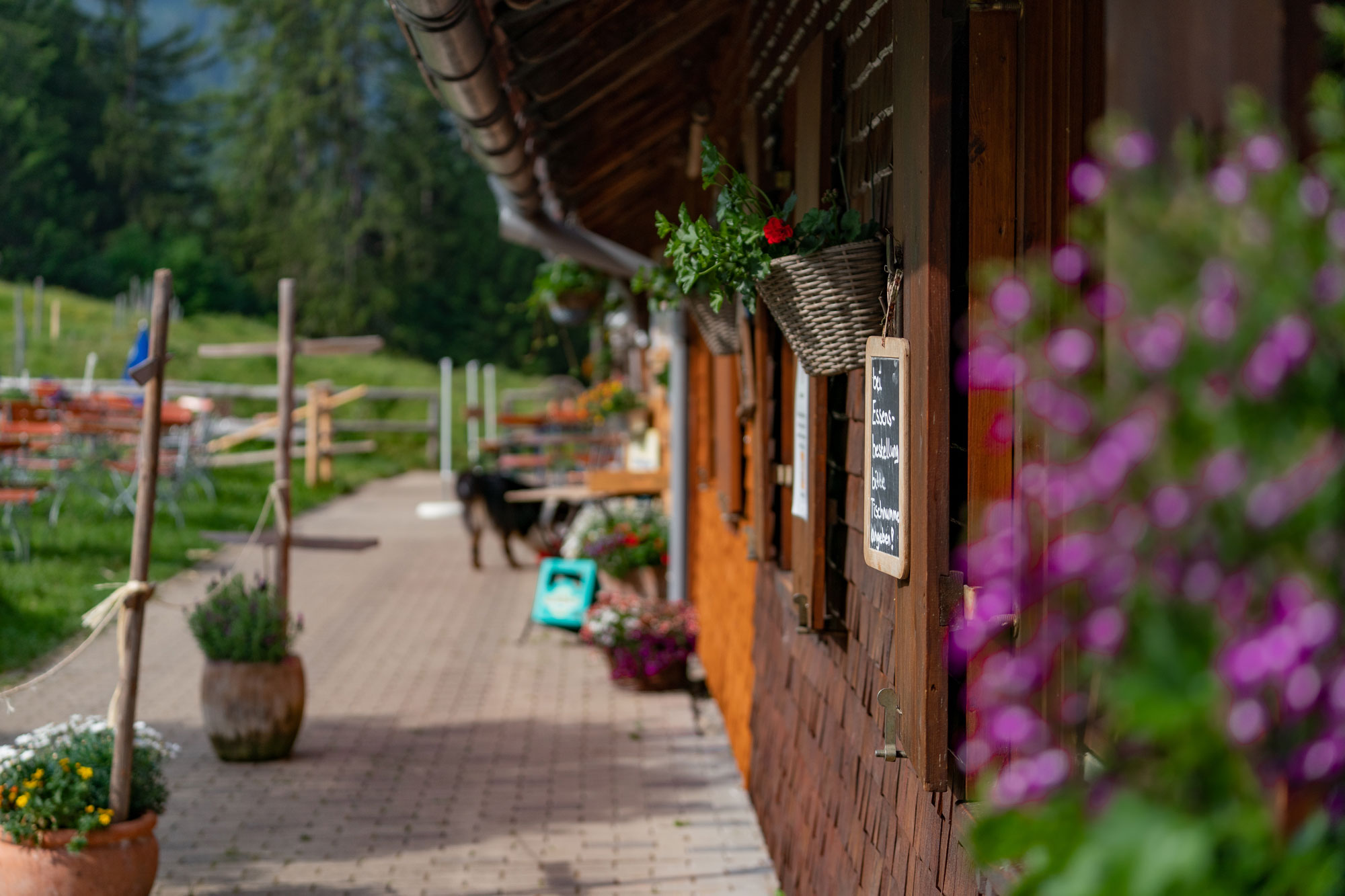 Alpe Altstädter Hof