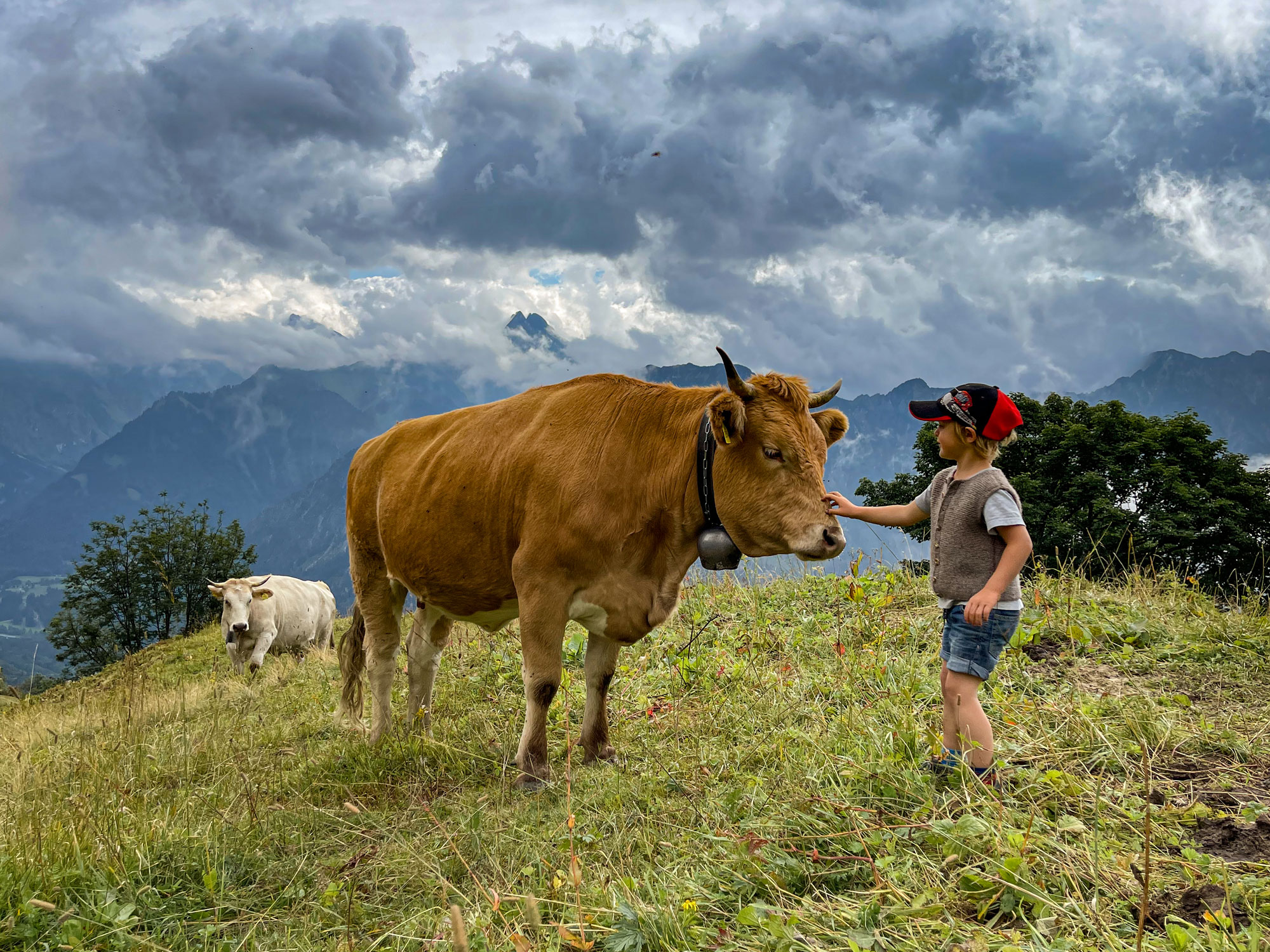 Sennalpe Sölleralp