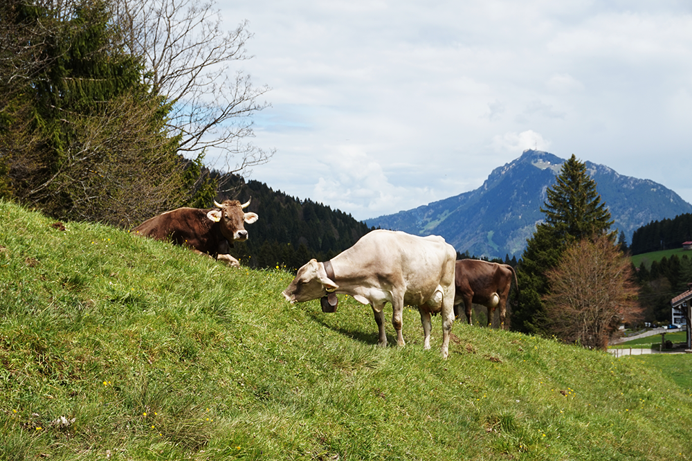 e-bike oberallgäu