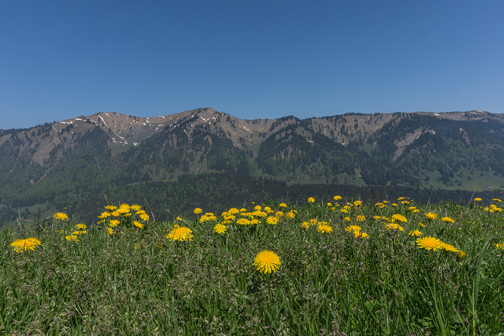 gunzesriedertal bergschön fraubergschön