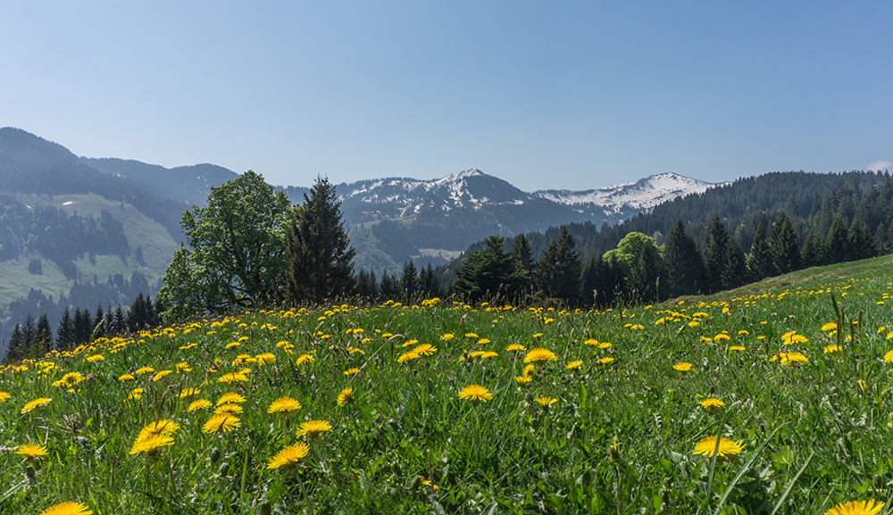 gunzesriedertal bergschön fraubergschön