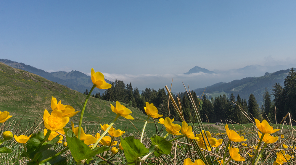 gunzesriedertal bergschön fraubergschön